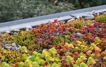 the cost of Penhallick green roof installation
